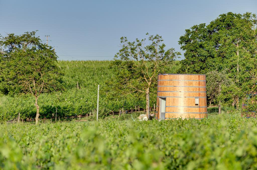 Coup 2 Foudres Bed & Breakfast Saint-Jean-de-Blaignac Eksteriør bilde