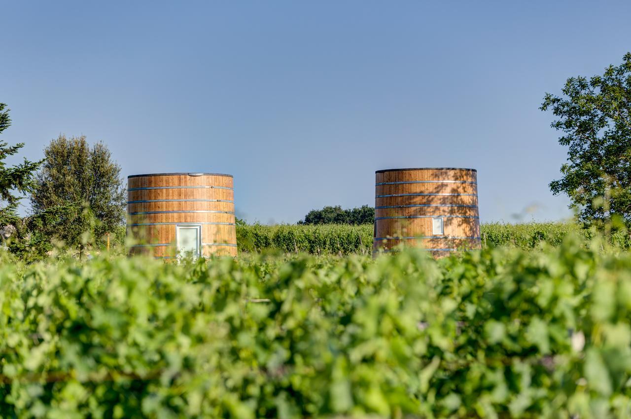 Coup 2 Foudres Bed & Breakfast Saint-Jean-de-Blaignac Eksteriør bilde